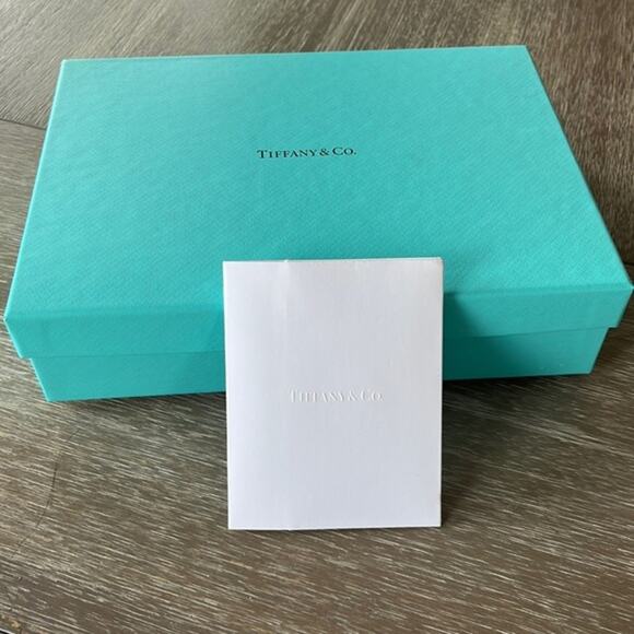 Tiffany & Co. Bag and Gift Box - Picture 2 of 12